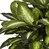 image:imageNearly Natural 24 in Artificial Golden Dieffenbachia Plant with Pot