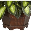 image:imageNearly Natural 24 in Artificial Golden Dieffenbachia Plant with Pot