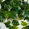 image:imageNearly Natural 24Inch UV Resistant Artificial Pothos Plant  IndoorOutdoor Hanging Basket with 50 Warm White LED Lights Battery Operated