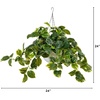 image:imageNearly Natural 24Inch UV Resistant Artificial Pothos Plant  IndoorOutdoor Hanging Basket with 50 Warm White LED Lights Battery Operated