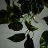image:imageNearly Natural 24Inch UV Resistant Artificial Pothos Plant  IndoorOutdoor Hanging Basket with 50 Warm White LED Lights Battery Operated