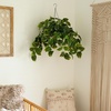 image:imageNearly Natural 24Inch UV Resistant Artificial Pothos Plant  IndoorOutdoor Hanging Basket with 50 Warm White LED Lights Battery Operated