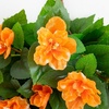 image:imageNearly Natural 24in UV Resistant Artificial Azalea Hanging Plant IndoorOutdoor  Set of 3Orange