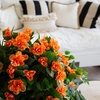 image:imageNearly Natural 24in UV Resistant Artificial Azalea Hanging Plant IndoorOutdoor  Set of 3Orange