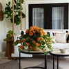 image:imageNearly Natural 24in UV Resistant Artificial Azalea Hanging Plant IndoorOutdoor  Set of 3Orange