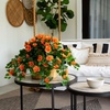 image:imageNearly Natural 24in UV Resistant Artificial Azalea Hanging Plant IndoorOutdoor  Set of 3Orange