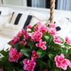 image:imageNearly Natural 24in UV Resistant Artificial Azalea Hanging Plant IndoorOutdoor  Set of 3Pink