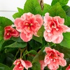 image:imageNearly Natural 24in UV Resistant Artificial Azalea Hanging Plant IndoorOutdoor  Set of 3Pink