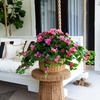 image:imageNearly Natural 24in UV Resistant Artificial Azalea Hanging Plant IndoorOutdoor  Set of 3Pink