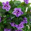 image:imageNearly Natural 24in UV Resistant Artificial Azalea Hanging Plant IndoorOutdoor  Set of 3Purple