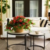 image:imageNearly Natural 24in UV Resistant Artificial Azalea Hanging Plant IndoorOutdoor  Set of 3Red