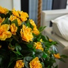 image:imageNearly Natural 24in UV Resistant Artificial Azalea Hanging Plant IndoorOutdoor  Set of 3Yellow