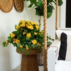 image:imageNearly Natural 24in UV Resistant Artificial Azalea Hanging Plant IndoorOutdoor  Set of 3Yellow