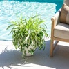 image:imageNearly Natural 24in UV Resistant Artificial Spider Bush IndoorOutdoor  Set of 3