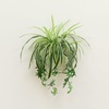 image:imageNearly Natural 24in UV Resistant Artificial Spider Bush IndoorOutdoor  Set of 3