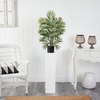 image:imageNearly Natural 25 ft Artificial Areca Palm UVResistant Indoor Outdoor
