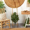 image:imageNearly Natural 25 ft Artificial Tea Leaf UVResistant Outdoor Porch Decor
