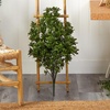 image:imageNearly Natural 25 ft Artificial Tea Leaf UVResistant Outdoor Porch Decor