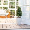 image:imageNearly Natural 25 ft Artificial UVResistant Boxwood Plant Set of 2