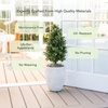 image:imageNearly Natural 25 ft Artificial UVResistant Boxwood Plant Set of 2