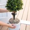 image:imageNearly Natural 25 ft Artificial UVResistant Boxwood Plant Set of 2