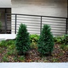 image:imageNearly Natural 25 ft UVResistant Artificial Cedar with Stake Set of 2Green