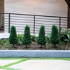 image:imageNearly Natural 25 ft UVResistant Artificial Cedar with Stake Set of 2Green