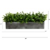 image:imageNearly Natural 25 in Eucalyptus Artificial Plant with Grey Planter