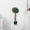 image:imageNearly Natural 25ft English Ivy Topiary UV Resistant IndoorOutdoor