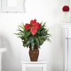 image:imageNearly Natural 26 in Artificial Mixed Greens and Anthurium with Vase