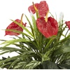 image:imageNearly Natural 26 in Artificial Mixed Greens and Anthurium with Vase
