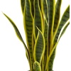 image:imageNearly Natural 26 in Sansevieria Artificial Silk Plants Green