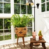 image:imageNearly Natural 27in UV Resistant Artificial Boston Fern Plant with Real Touch Leaves IndoorOutdoor27 in
