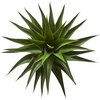 image:imageNearly Natural 28 Agave Artificial Plant Green