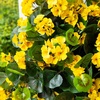 image:imageNearly Natural 29 in Artificial Geranium UVResistant Outdoor Porch DecorYellow