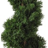 image:imageNearly Natural 2ft Cedar Spiral Silk Tree IndoorOutdoor