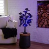 image:imageNearly Natural 2ft PreLit Halloween Black Maple Tree with Orange amp Purple LED Lights