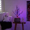image:imageNearly Natural 2ft PreLit Halloween Black Spooky Twig Tree with 60 Orange amp Purple LED Lights