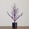 image:imageNearly Natural 2ft PreLit Halloween Black Spooky Twig Tree with 60 Orange amp Purple LED Lights