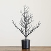 image:imageNearly Natural 2ft PreLit Halloween Black Spooky Twig Tree with 60 Orange amp Purple LED Lights