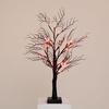 image:imageNearly Natural 2ft PreLit Halloween Deluxe Black Twig Artificial Fall Tree with 44 Orange and Purple LED Lights
