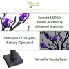 image:imageNearly Natural 2ft PreLit Halloween Spider Twig Tree with 24 Purple LED Lights
