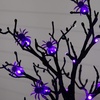 image:imageNearly Natural 2ft PreLit Halloween Spider Twig Tree with 24 Purple LED Lights