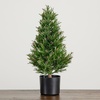 image:imageNearly Natural 2ft UV Resistant Artificial Rosemary Cone Topiary Tree IndoorOutdoorGreen