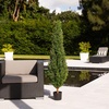 image:imageNearly Natural 2ft UV Resistant Artificial Rosemary Cone Topiary Tree IndoorOutdoorGreen