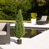 image:imageNearly Natural 2ft UV Resistant Artificial Rosemary Cone Topiary Tree IndoorOutdoorGreen