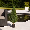 image:imageNearly Natural 2ft UV Resistant Artificial Rosemary Cone Topiary Tree IndoorOutdoorGreen