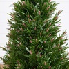 image:imageNearly Natural 2ft UV Resistant Artificial Rosemary Cone Topiary Tree IndoorOutdoorGreen