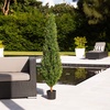 image:imageNearly Natural 2ft UV Resistant Artificial Rosemary Cone Topiary Tree IndoorOutdoorGreen