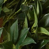 image:imageNearly Natural 3 ft Artificial Bay Leaf Topiary UVResistant Porch Decor